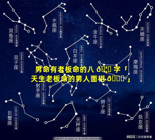 男命有老板命的八 🦁 字「天生老板命的男人面相 💐 」